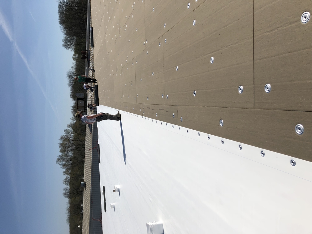 pvc membrane roofing